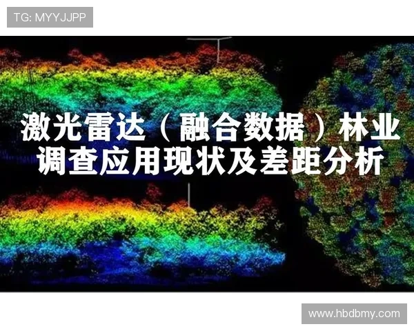 努涅斯身价是否虚高：数据与比赛影响力差距分析