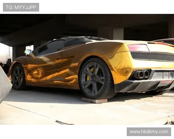 昌雅妮跳水冠军回家，邻居说她家车库停了三辆豪车